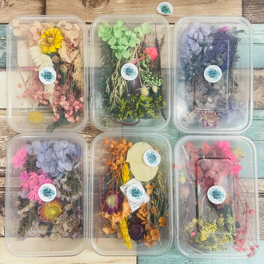 Dry Flower Box(Random Pick)