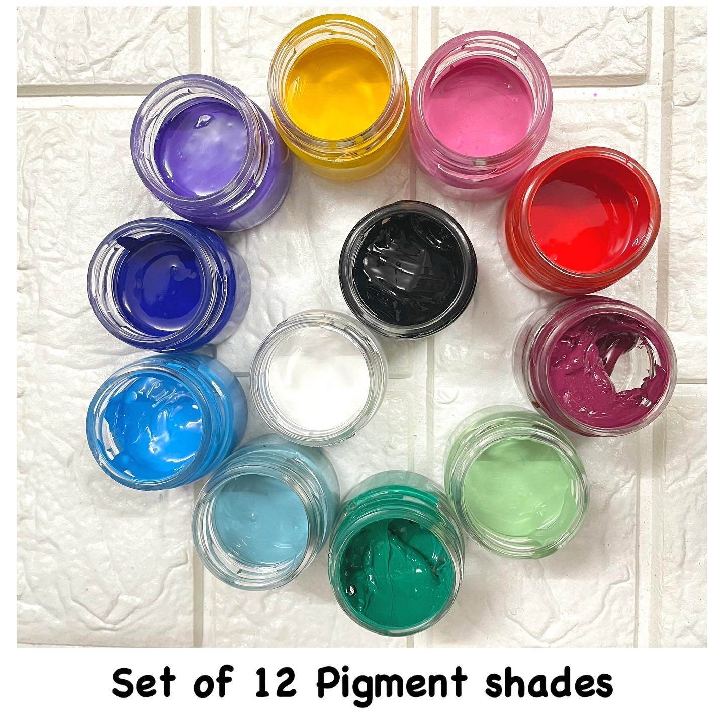 Set  of 12 Opaque Pigments