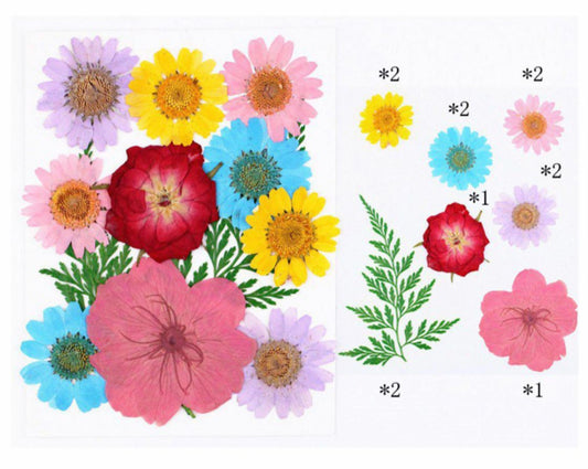 Small Pressed Pastel Flower Combo Pack