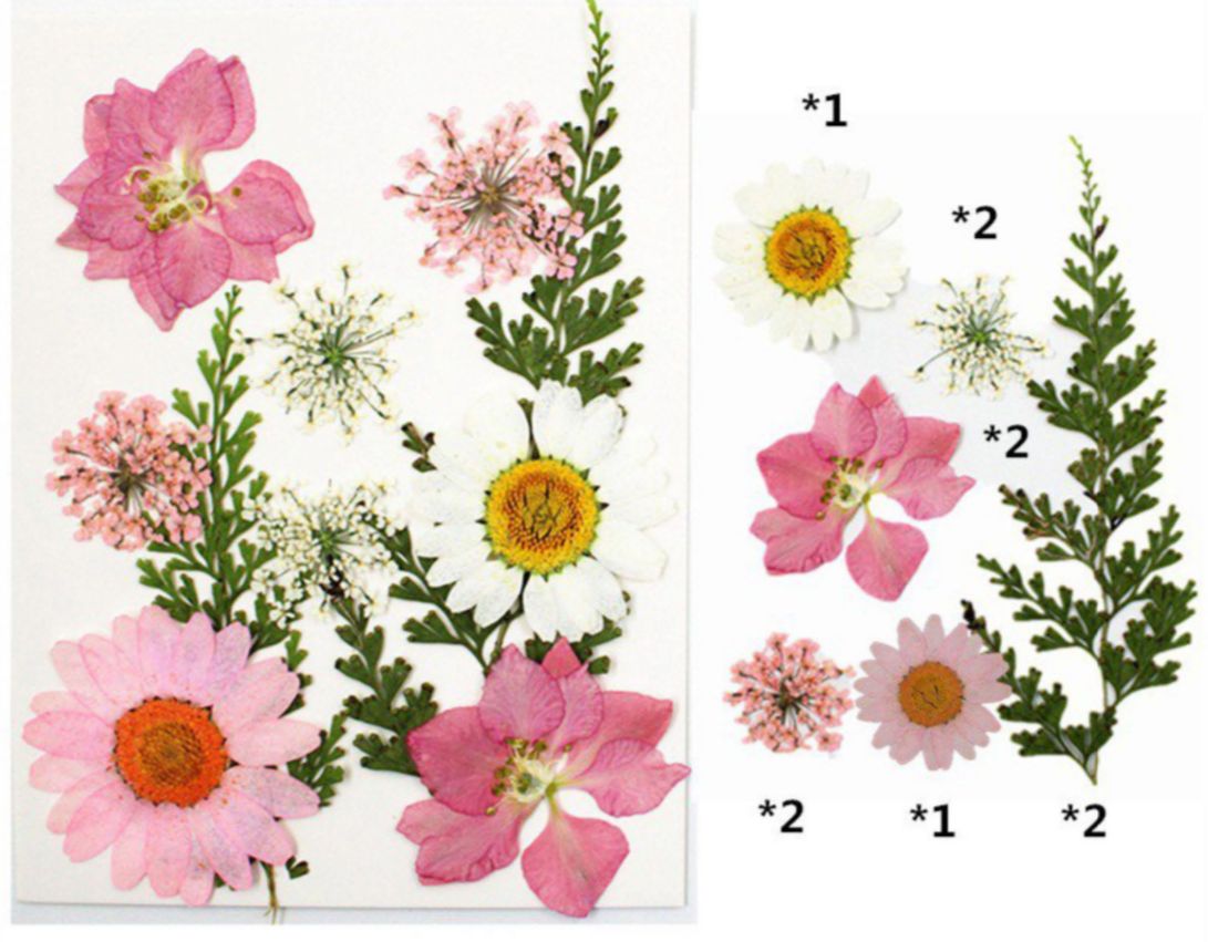 Small PInk Pressed Flower Pack