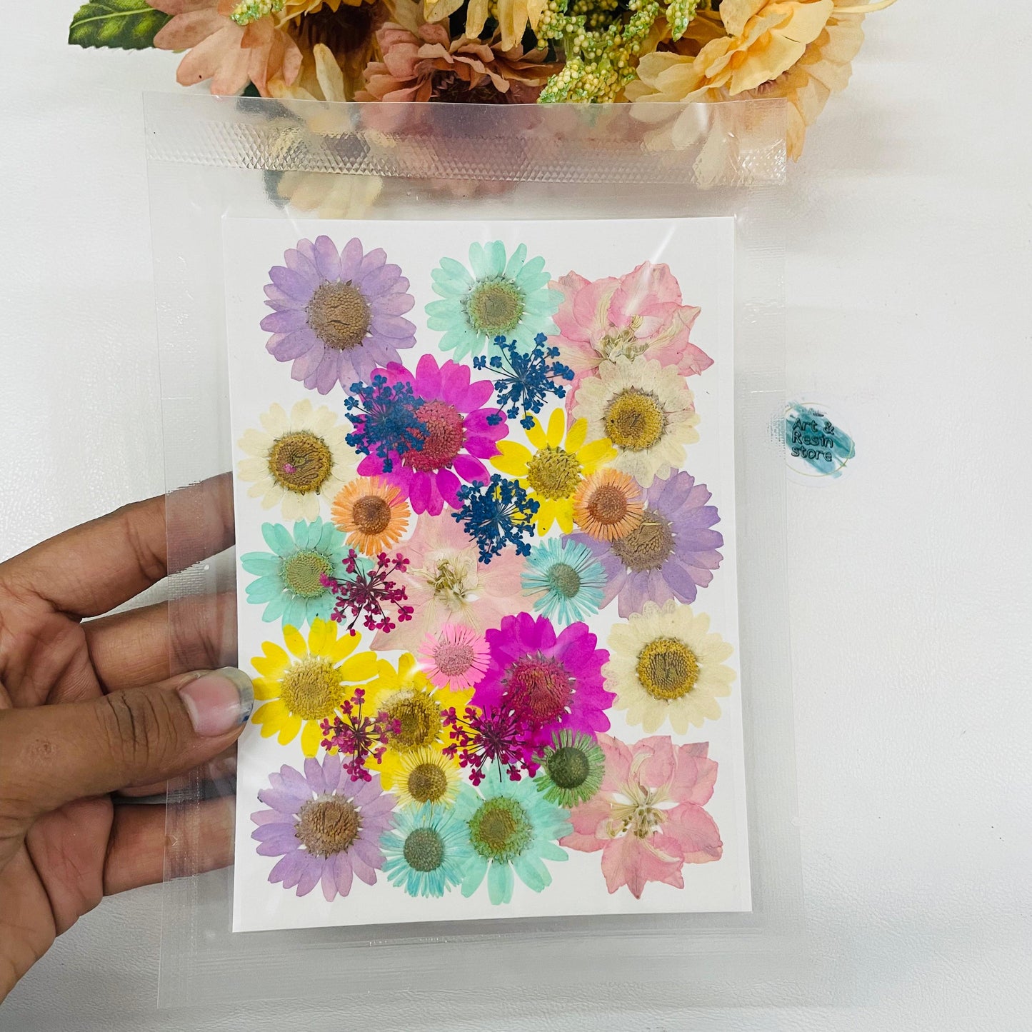 Big Mixed Pressed Flower  With Pollens Pack