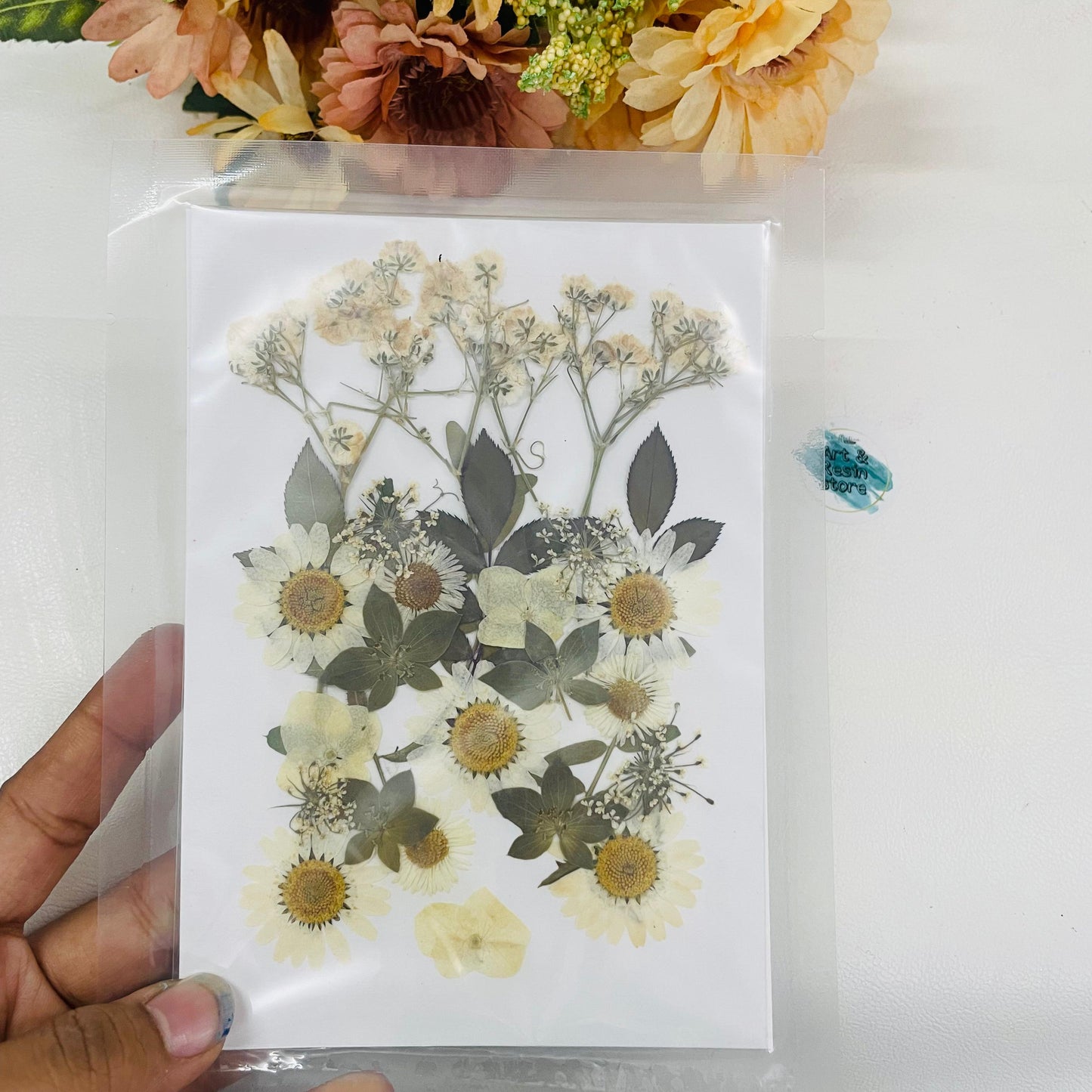 Big Mixed White Pressed Flower Pack