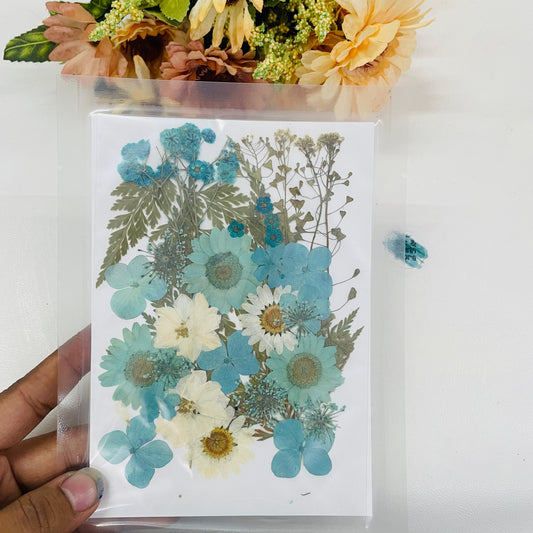 Big Blue Mixed Pressed Flower Pack