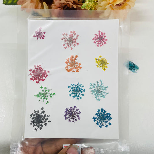 Pressed Mixed Pollen Flower Pack