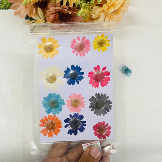 Pressed Daisy Pack