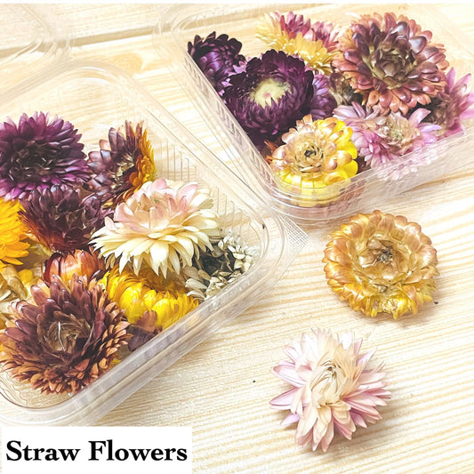 Straw Flowers Box