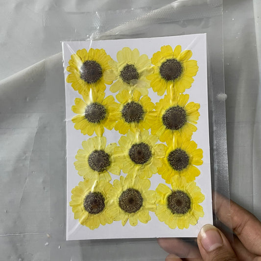 Pressed Yellow Sunflower Pack